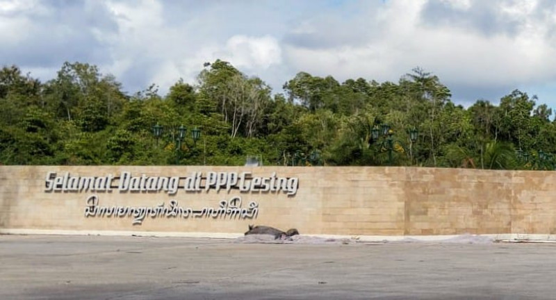 Pantai Gesing, Gradasi Biru Hijau yang Sejukkan Mata